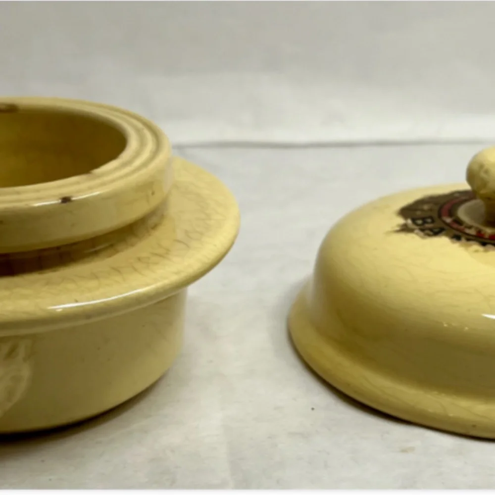 VTG French FoieGras Provence Yellow Sarreguemines Pottery/Terrine Dish LionHead